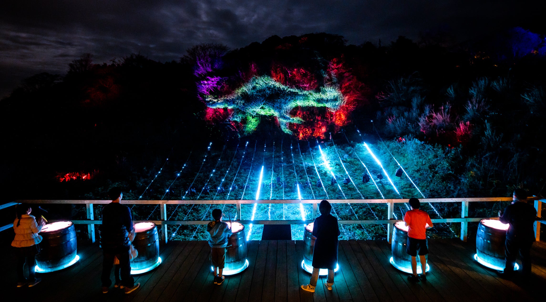 Lumina Enchanted Night Walks start their summer 2021 season
