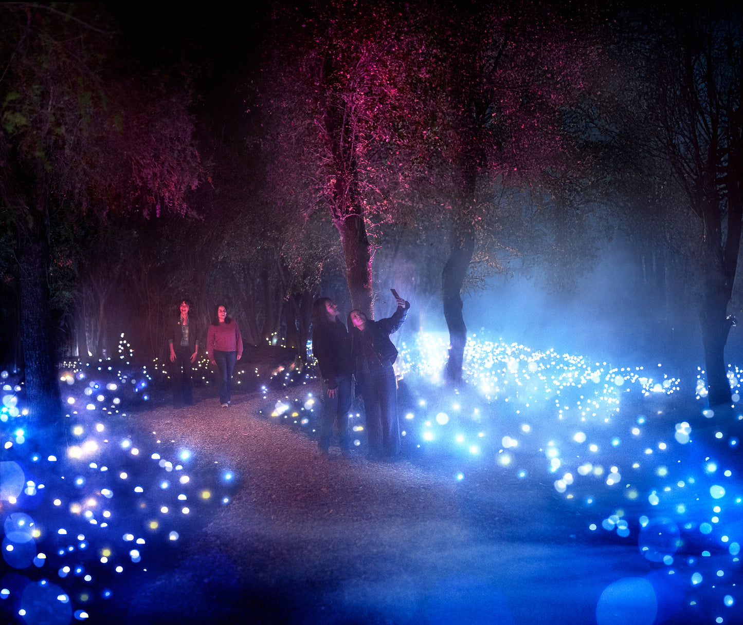 Light Cycles Mexico City