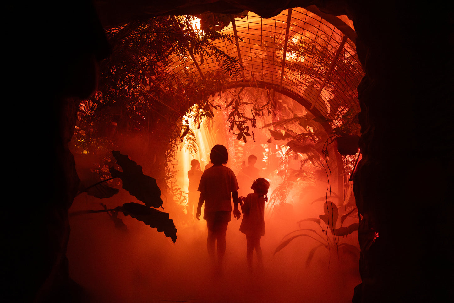 Light Cycles Mexico City