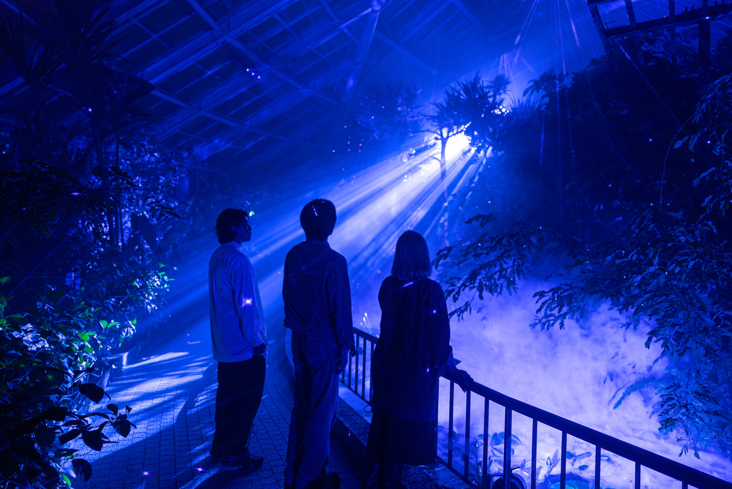 Light Cycles Mexico City