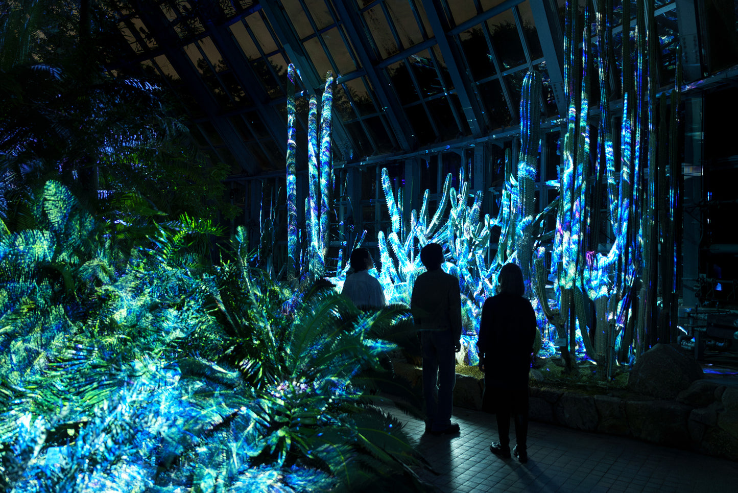 Light Cycles Mexico City