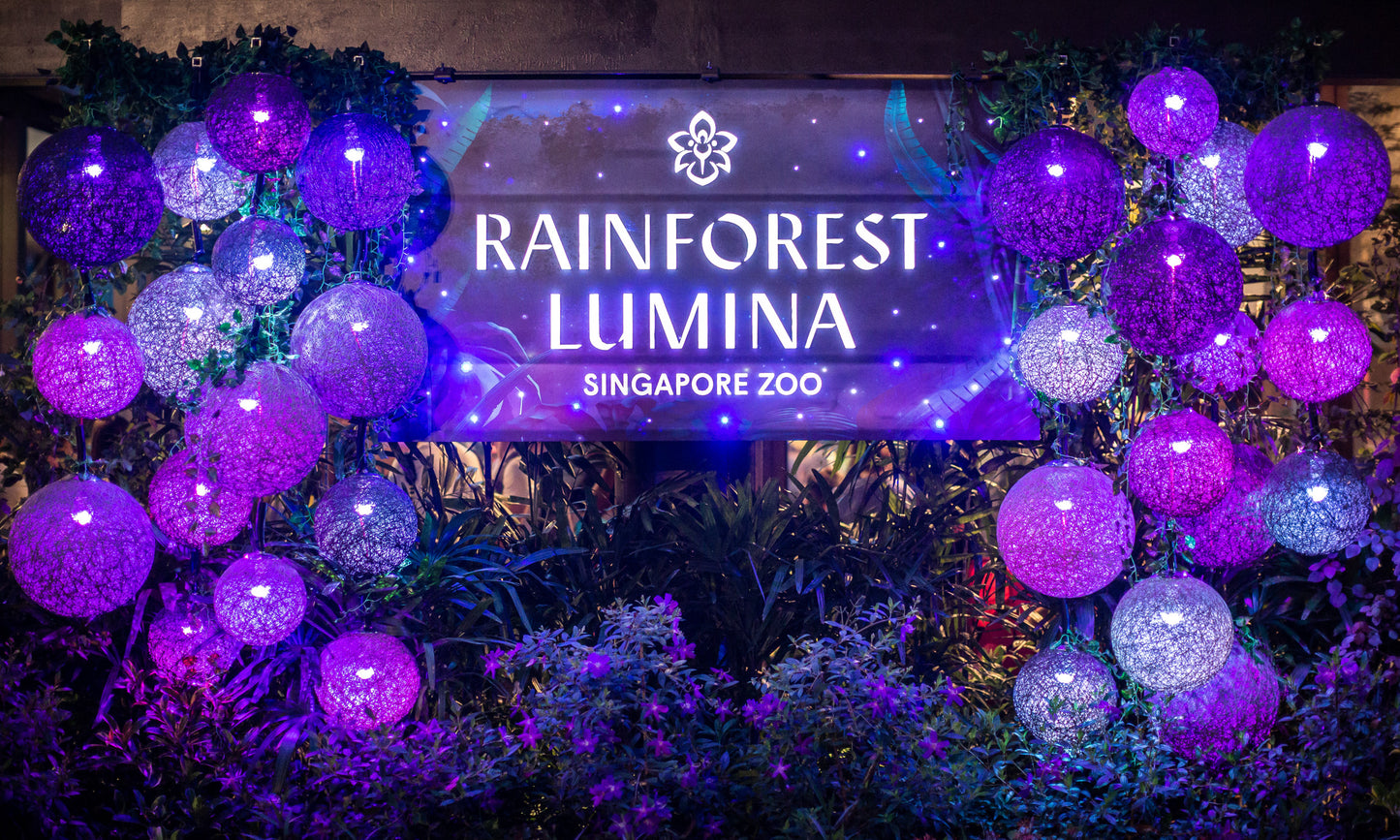 Rainforest Lumina