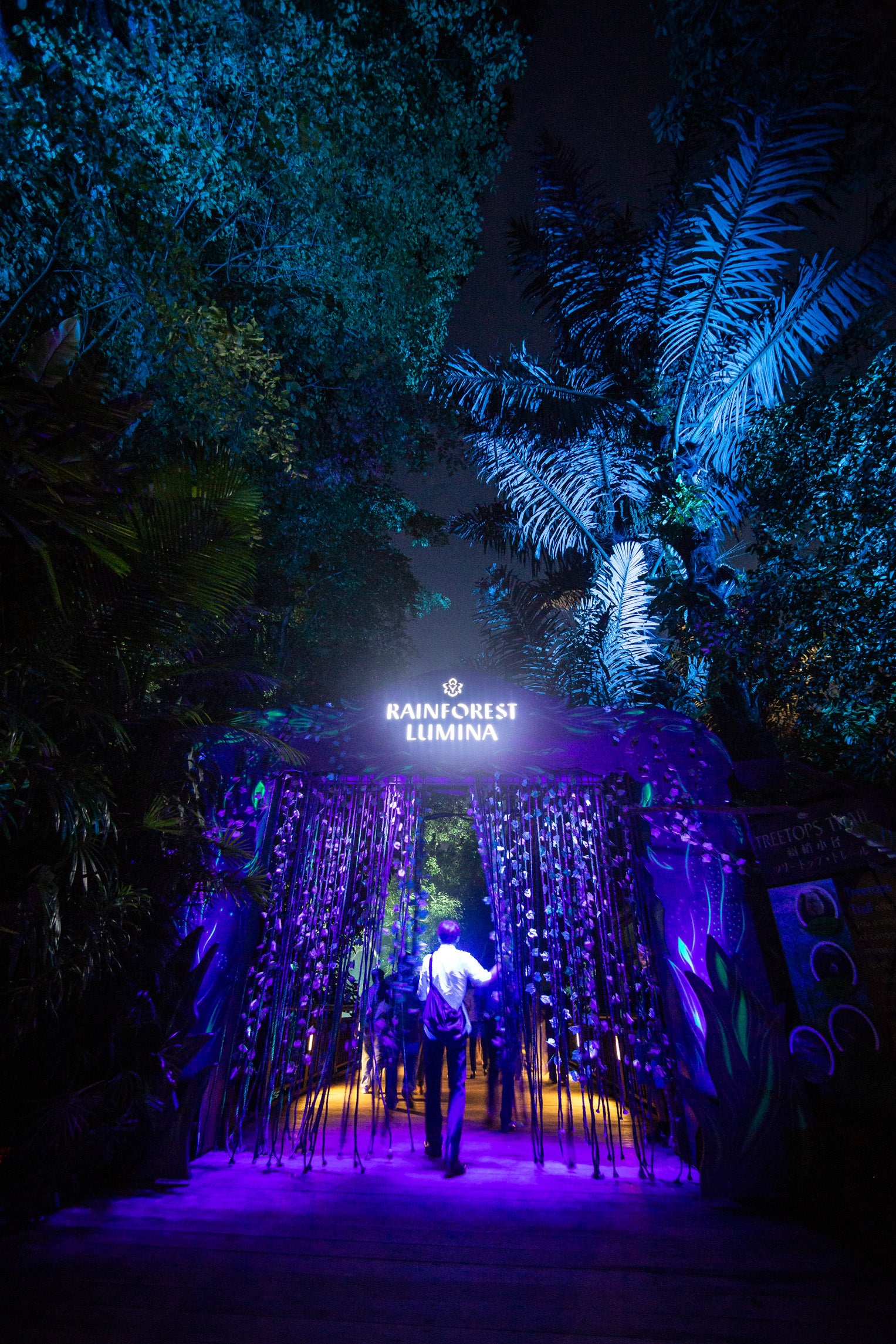 Lumina Enchanted Night Walks start their summer 2021 season
