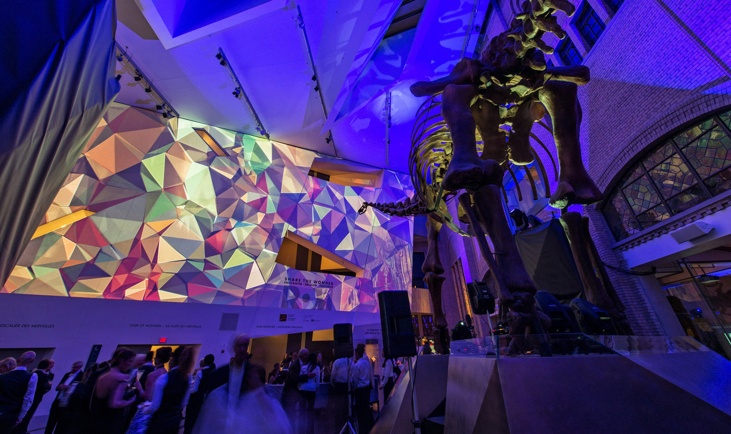 Centennial Ball, Royal Ontario Museum