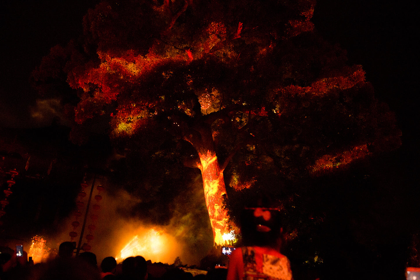 Mystic Tree Show