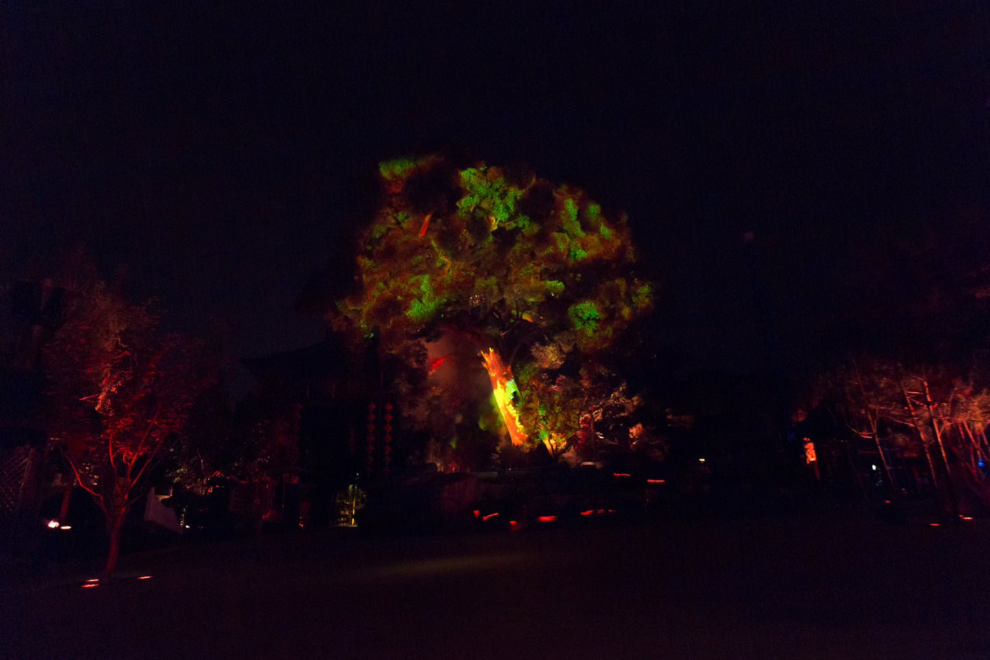 Mystic Tree Show