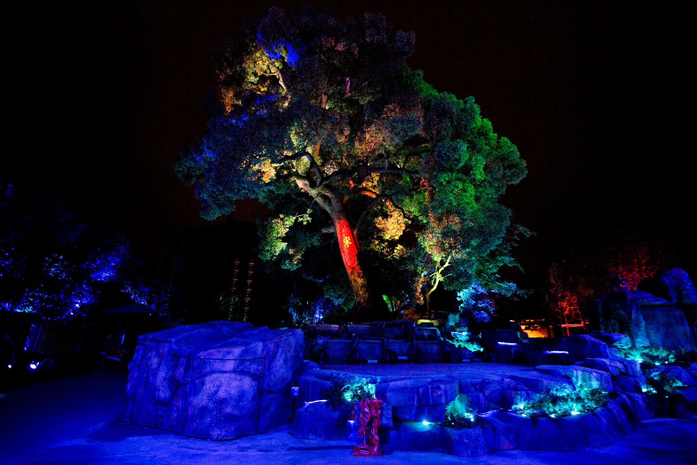 Mystic Tree Show | Moment Factory