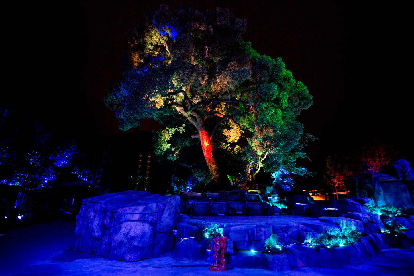 Mystic Tree Show