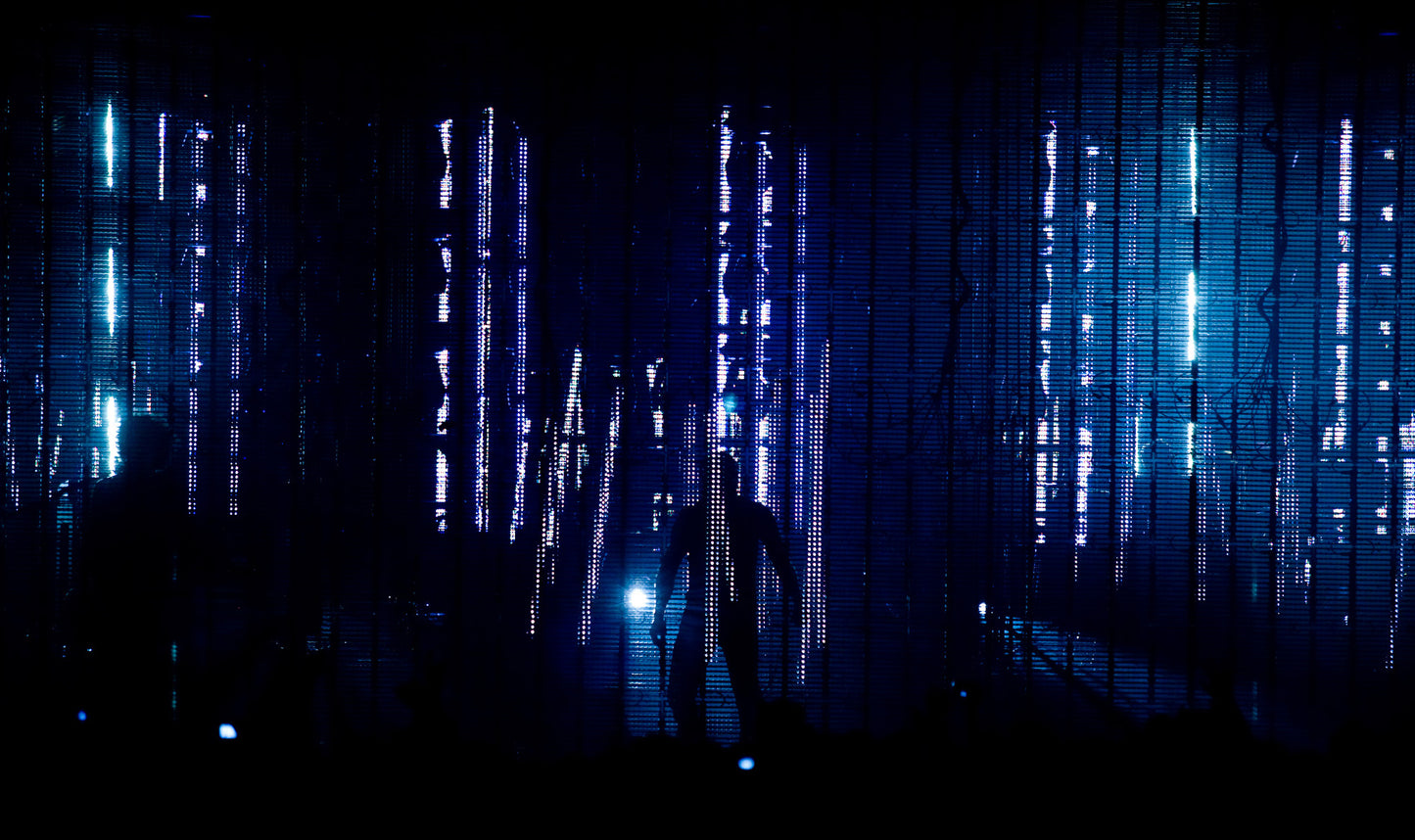 Nine Inch Nails, Lights In The Sky Tour