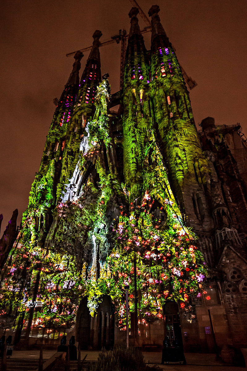 Ode à la Vie: Sagrada Familia