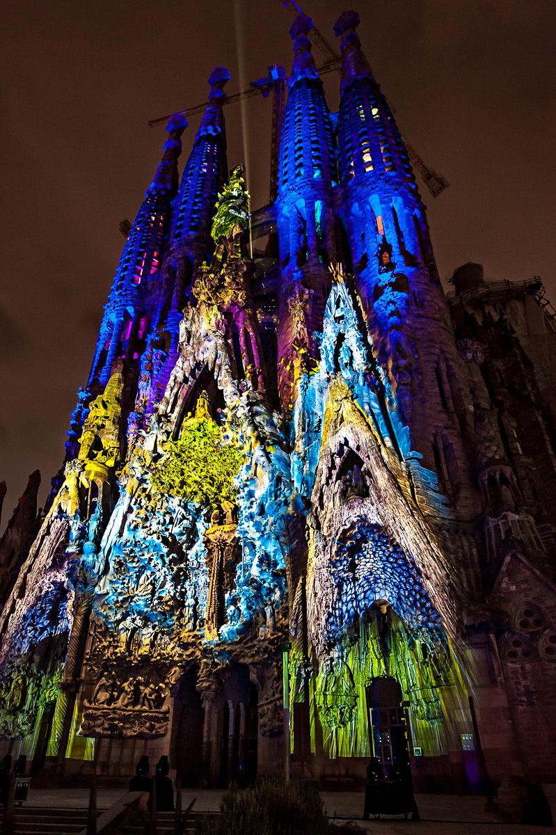 Ode à la vie à la Sagrada Familia