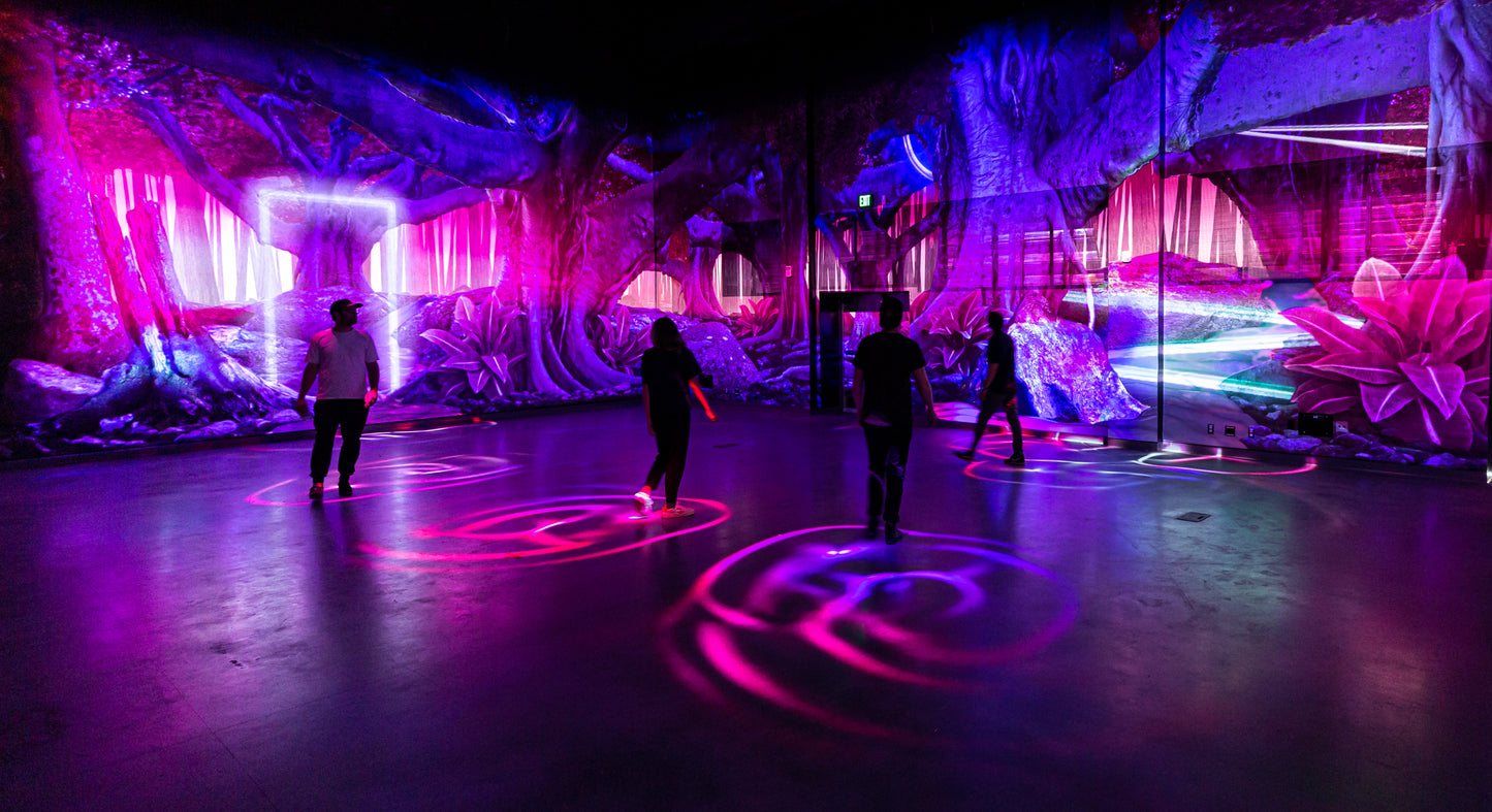 Perplexiplex, Meow Wolf Denver