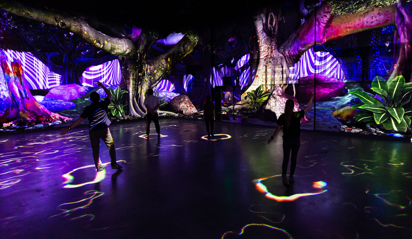 Perplexiplex, Meow Wolf Denver