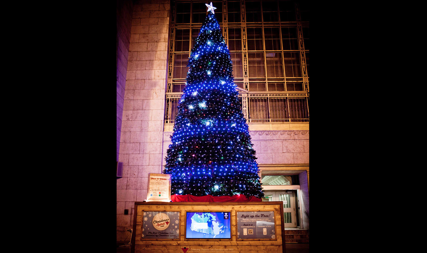 Christmas Tree, Union Station