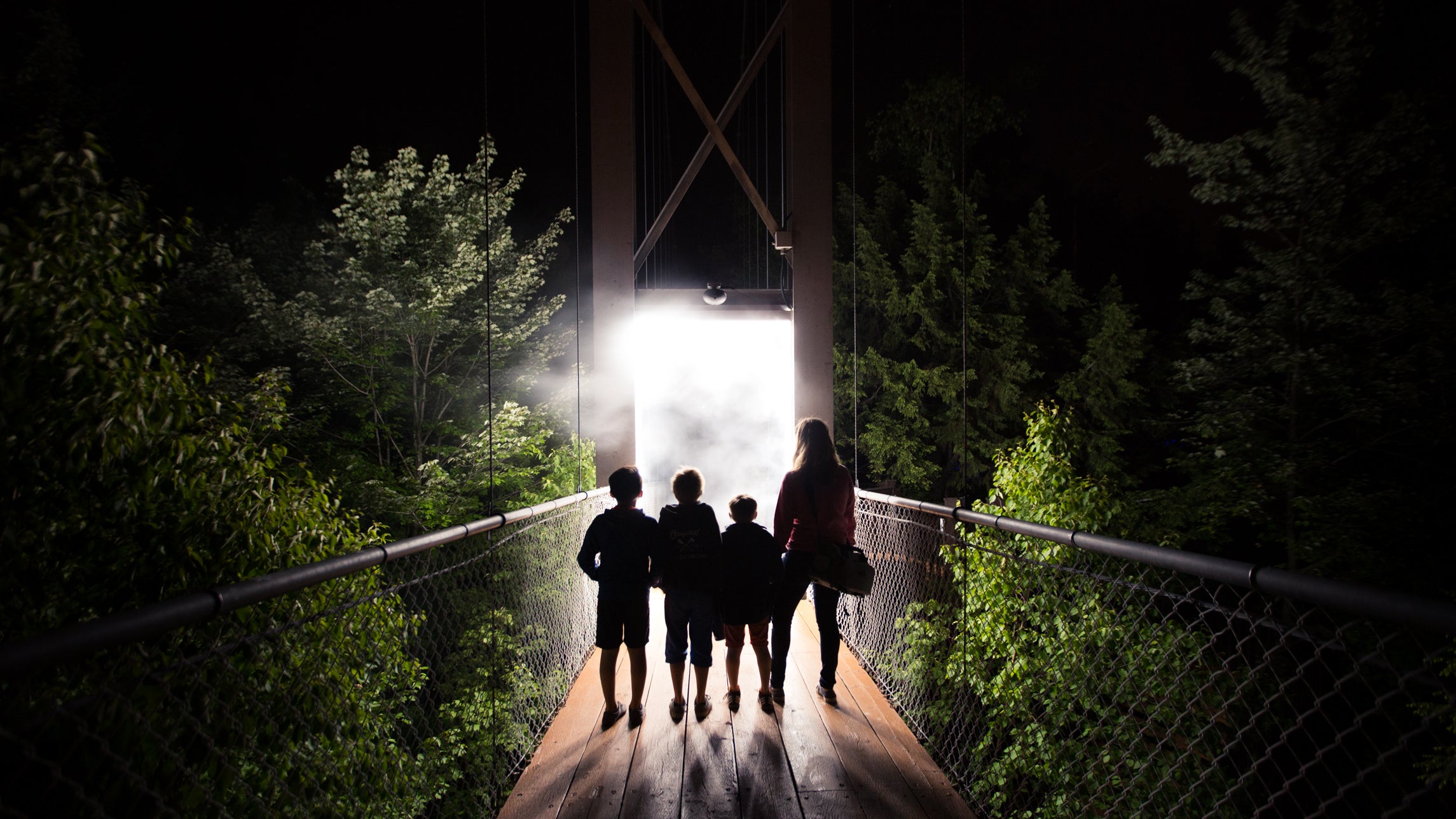 The Lumina Night Walks turns five | Moment Factory