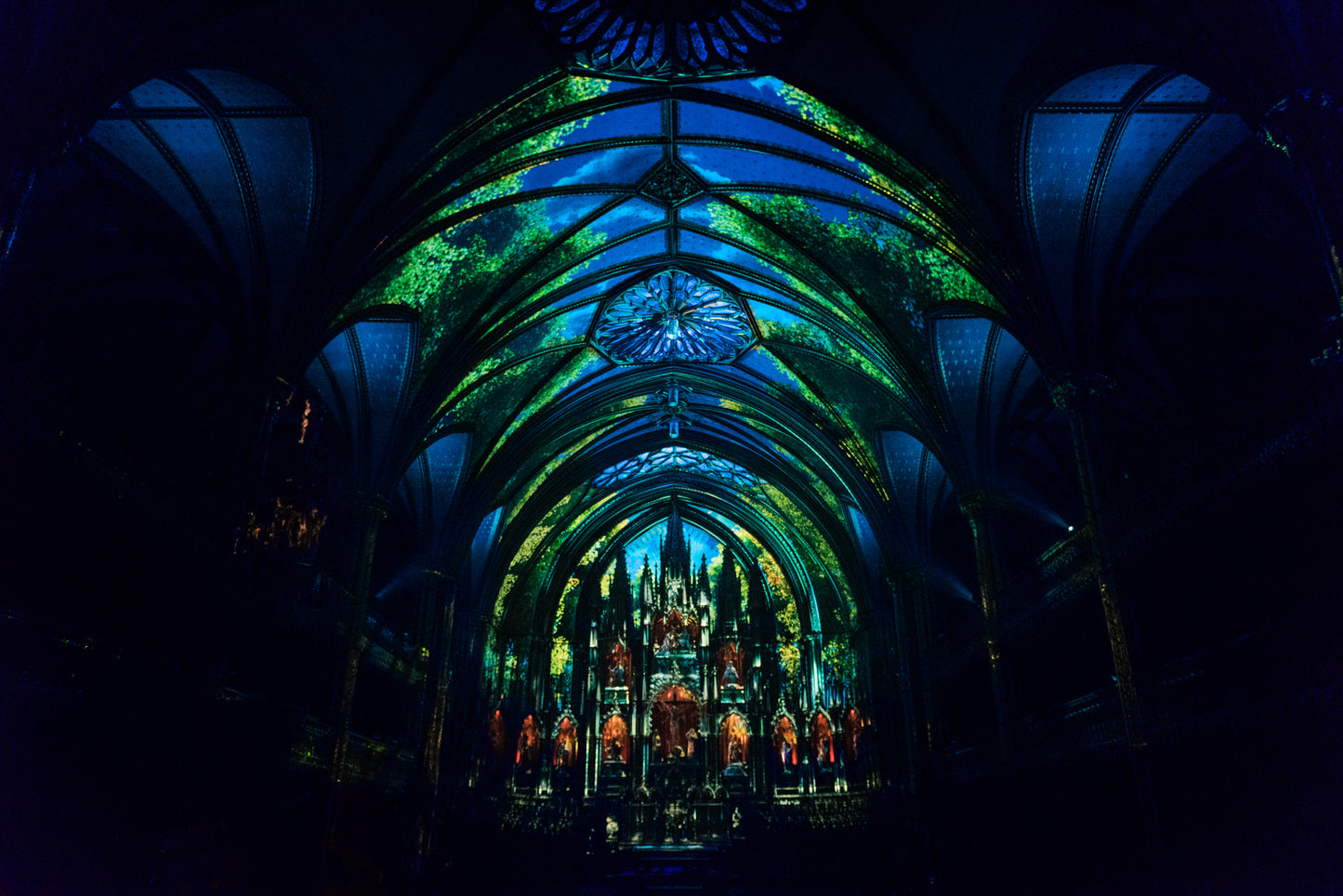 AURA at the Notre-Dame Basilica