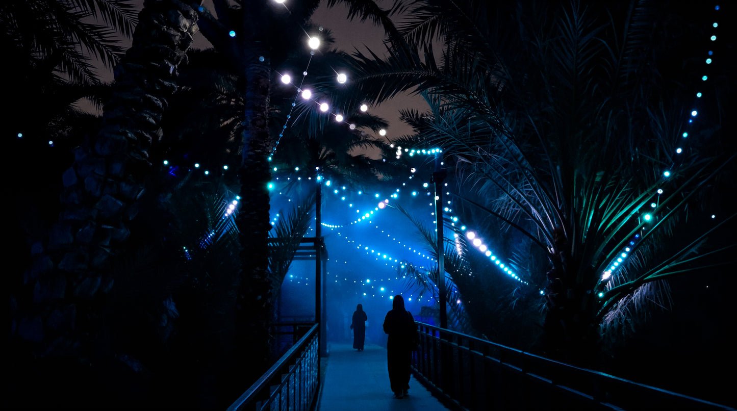 Al Ain Oasis Nightscapes